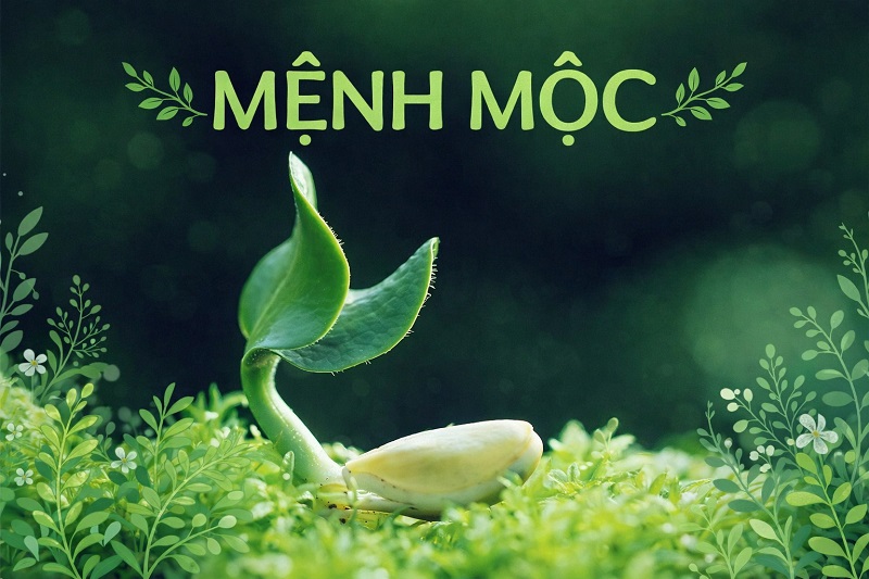 Mệnh Mộc năm 2026 sẽ thế nào?